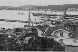 Bilde av Utsikt fra Preståsen 1915